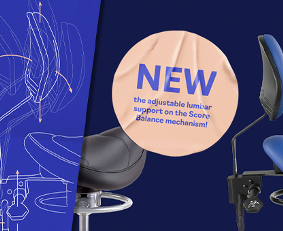 Campagnepage Adjustable Lumbar Support ENG