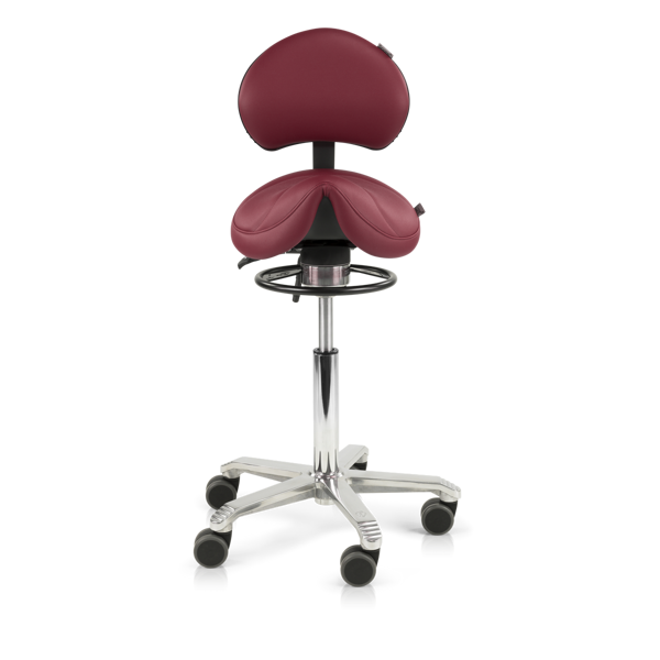 Score Amazone Balance with adjustable lumbar support