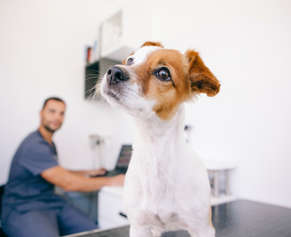 Adobestock 224255803 (1)