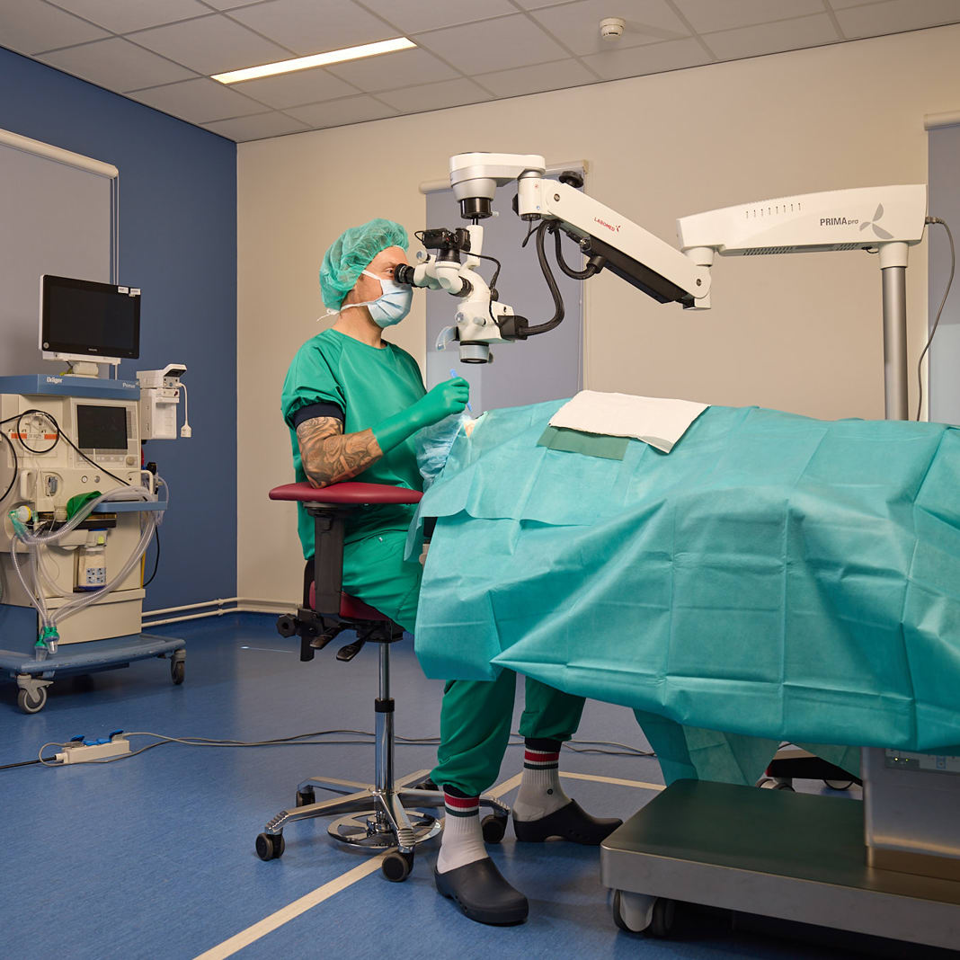 20240827 SCORE Umcg0774selectie