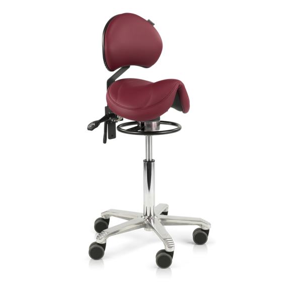 Score Amazone Balance with adjustable lumbar support