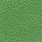 Green FL81